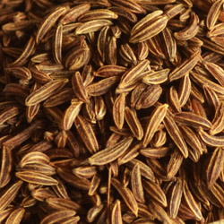 Caraway