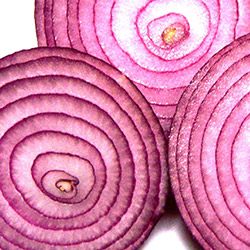 Onion